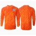 Maillot de foot Angleterre Gardien Domicile vêtements Europe 2024 Manches Longues